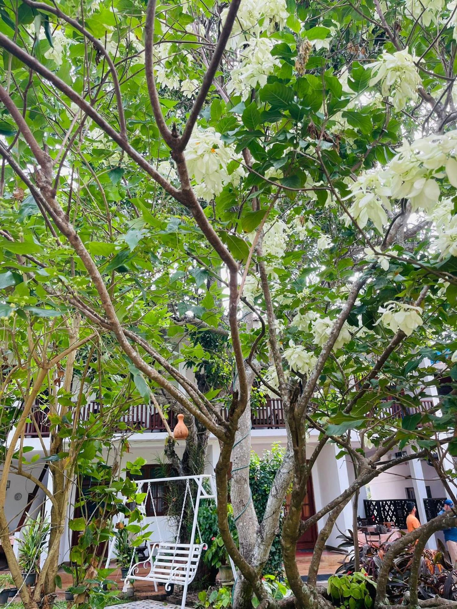 Little Paradise Tourist Guest House And Holiday Home Holambra Exterior foto