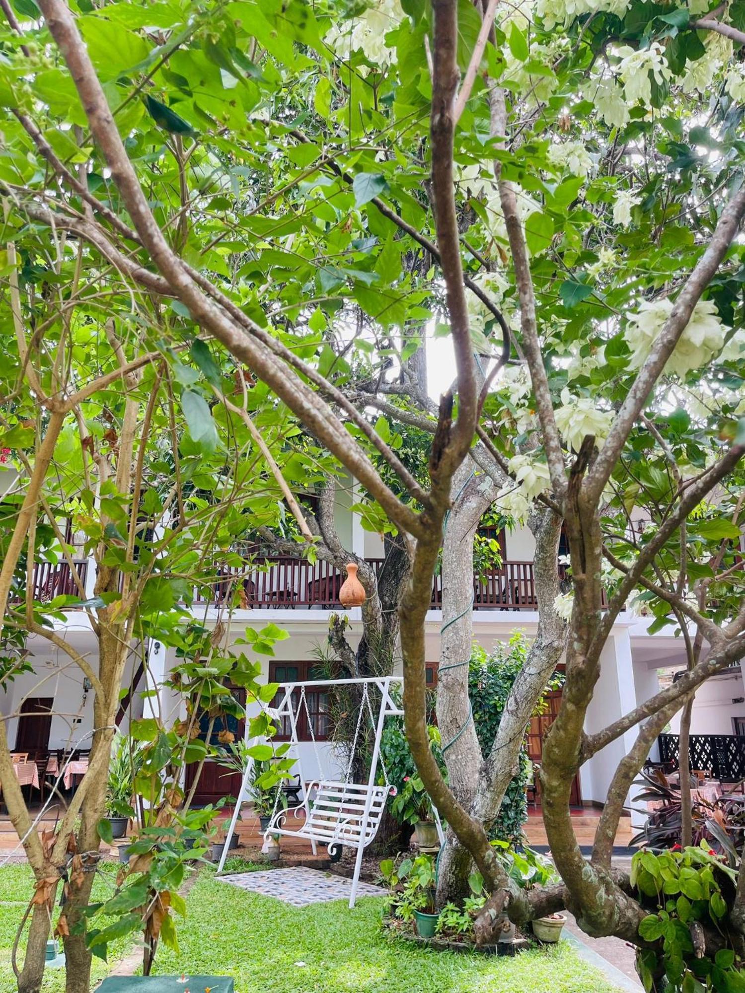 Little Paradise Tourist Guest House And Holiday Home Holambra Exterior foto