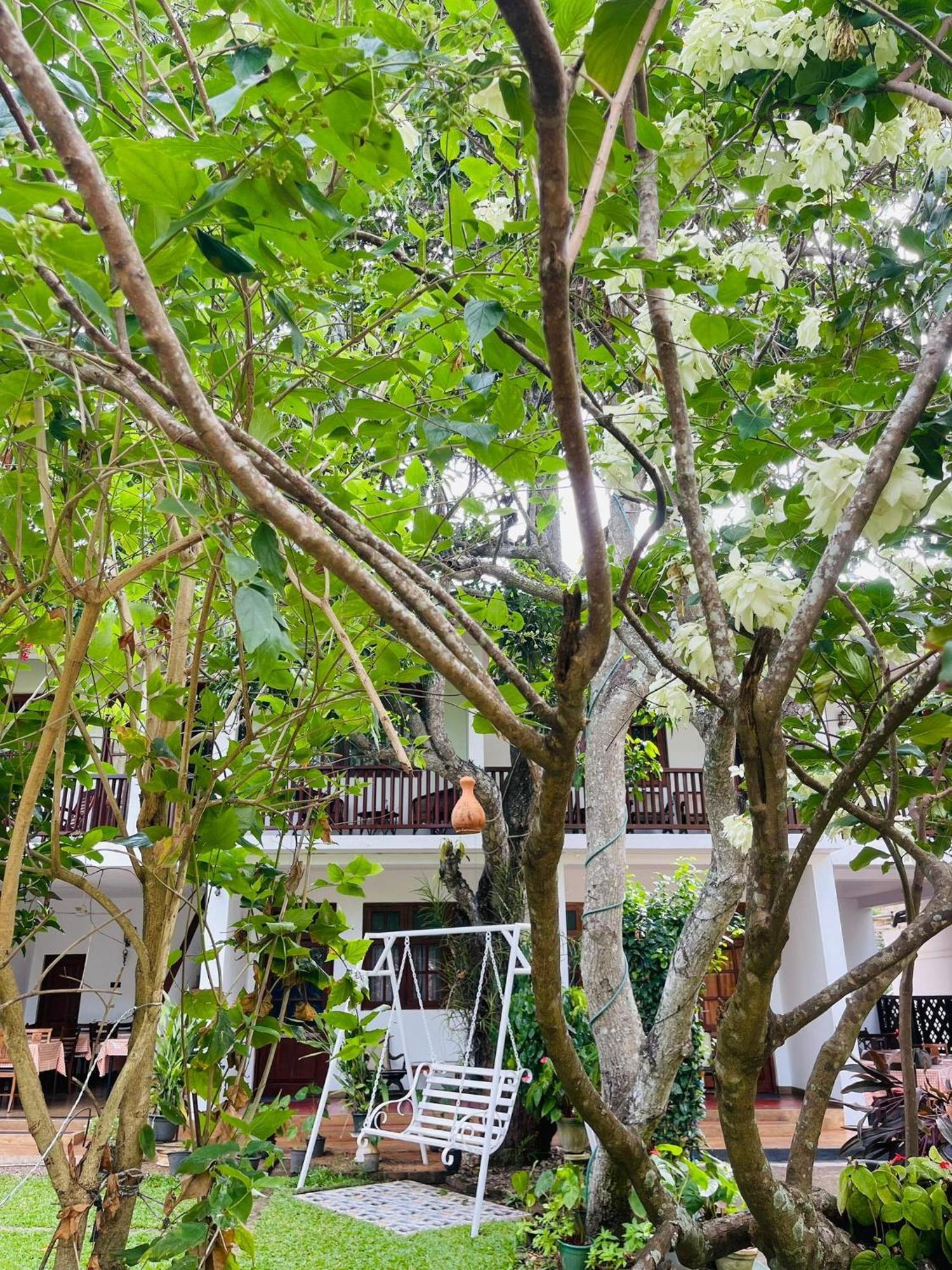 Little Paradise Tourist Guest House And Holiday Home Holambra Exterior foto